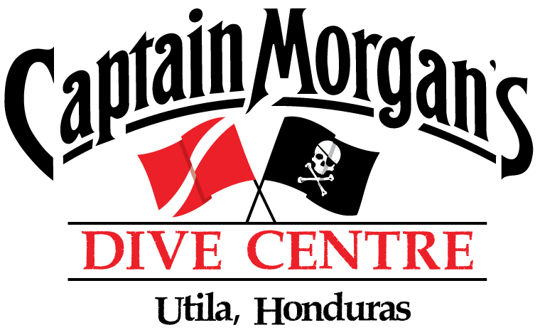 logo-captain-morgan's-dive-resort-utila