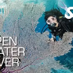 SSI Open Water Diver Utila